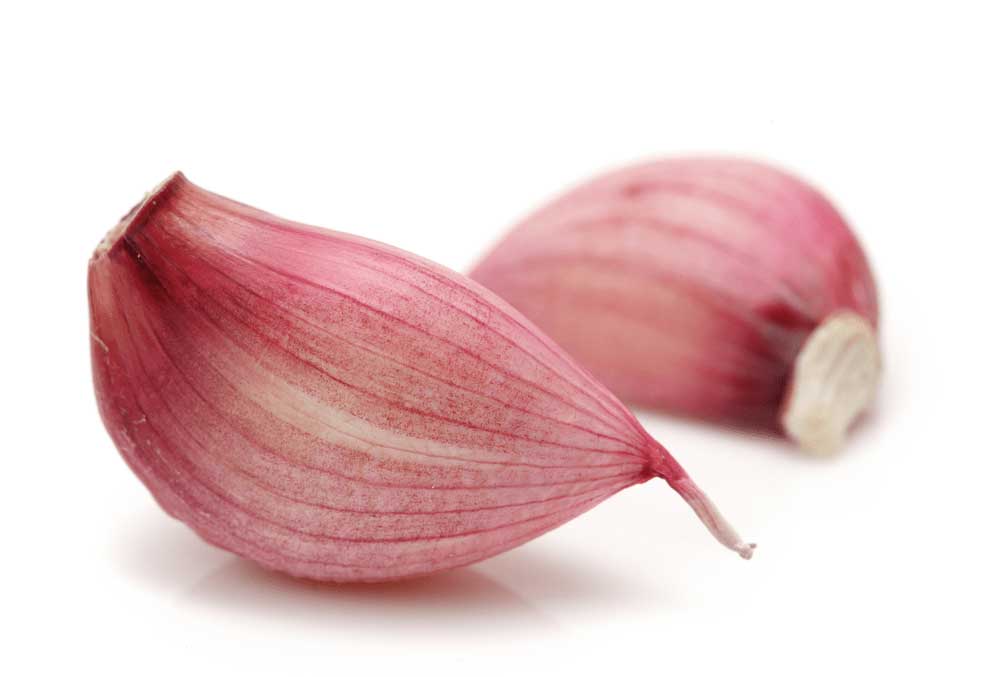 RED GARLIC