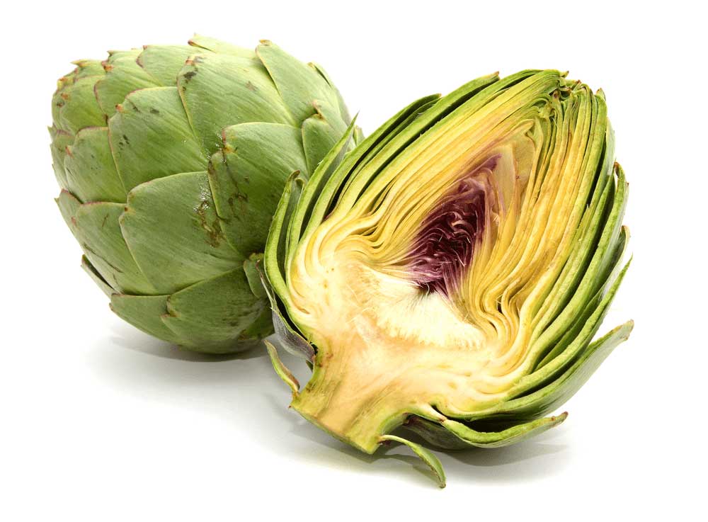 ARTICHOKE