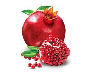 Pomegranate
