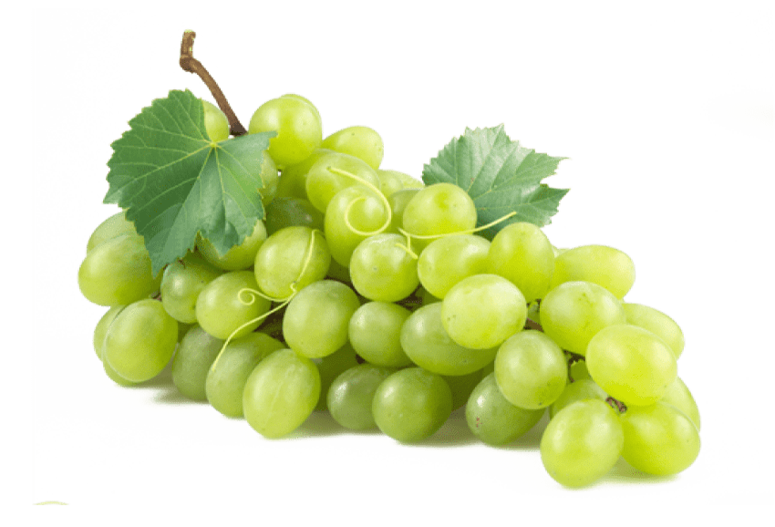 Grapes